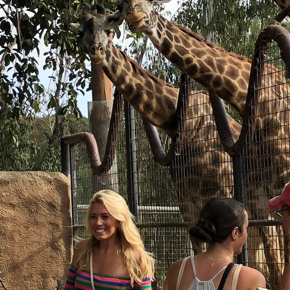 Zoo